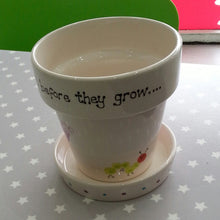 Load image into Gallery viewer, Large Plant Pot & Saucer