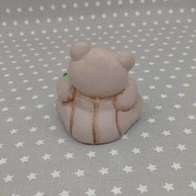 Load image into Gallery viewer, Teddy holding Watermelon with acrylic paints