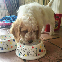 Load image into Gallery viewer, Slanted Sided Pet Bowl XL