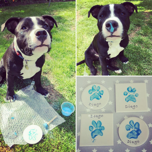 A proud dog showing off his precious paw prints on square and circular tiles.